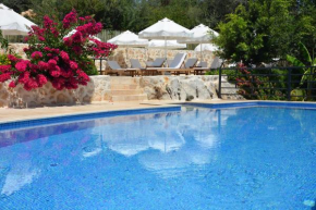 Гостиница Dardanos Hotel  Калкан